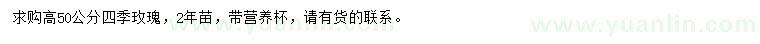 求購高50公分四季玫瑰