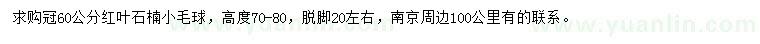求購冠60公分紅葉石楠小毛球