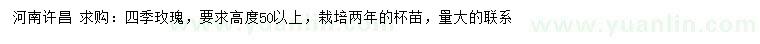 求購高度50公分以上四季玫瑰