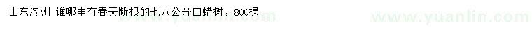 求購7、8公分白蠟