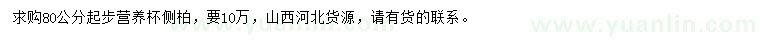 求購80公分起步側(cè)柏