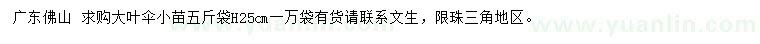 求購高25公分大葉傘小苗
