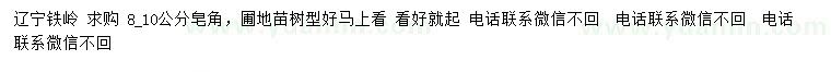 求購8-10公分皂角