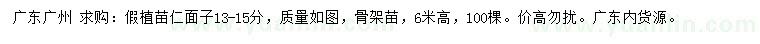 求購(gòu)13-15公分人面子假植苗