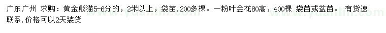 求購5-6公分黃金熊貓、高80公分粉葉金花