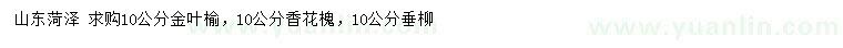 求購金葉榆、香花槐、垂柳