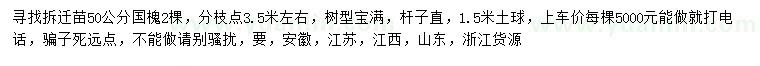 求購50公分國槐