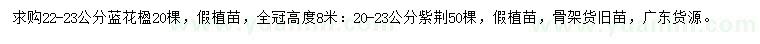 求購(gòu)22-23公分藍(lán)花楹、20-23公分紫荊