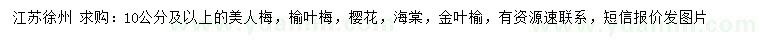 求購美人梅、榆葉梅、櫻花等