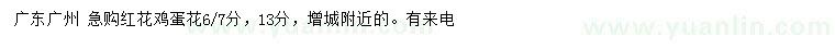 求購(gòu)6、7公分紅花雞蛋花