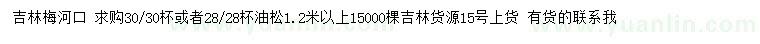求購(gòu)1.2米以上油松