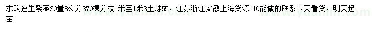 求購30量8公分速生紫薇