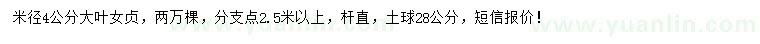 求購米徑4公分大葉女貞