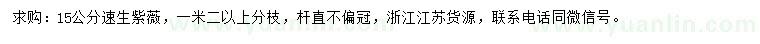 求購15公分速生紫薇