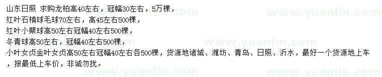 求購(gòu)龍柏、紅葉石楠球、紅葉小檗球等