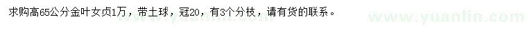 求購(gòu)高65公分金葉女貞