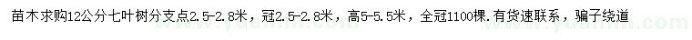 求購12公分七葉樹