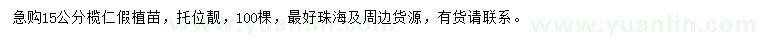 求購15公分欖仁