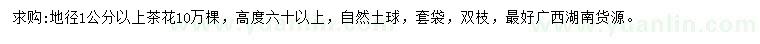 求購(gòu)地徑1公分以上茶花