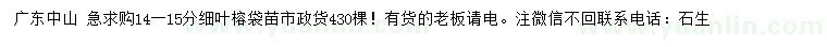求購14-15分細(xì)葉榕