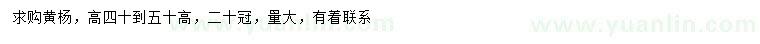 求購(gòu)高40-50公分黃楊