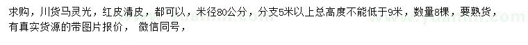 求購米徑80公分馬靈光