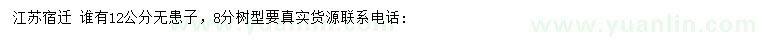 求購(gòu)12公分無(wú)患子