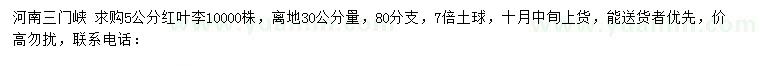 求購5公分紅葉李