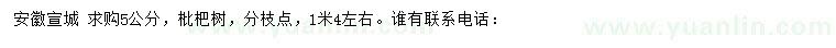求購5公分枇杷樹
