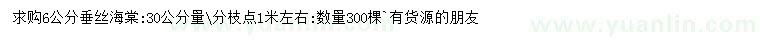 求購6公分垂絲海棠