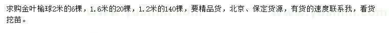 求購1.2、1.6、2米金葉榆球