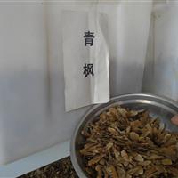 青楓種子批發(fā)，三角楓種子批發(fā)，五角楓種子批發(fā)