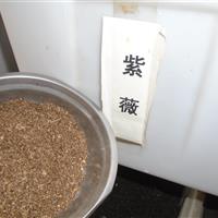 小葉樸樹(shù)種子價(jià)格， 紫薇種子價(jià)格，合歡種子價(jià)格