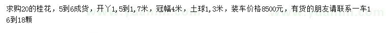 求購20公分桂花