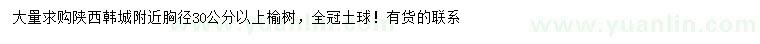 求購胸徑30公分以上榆樹