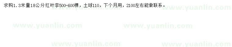 求購1.3米量18公分紅葉李