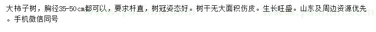 求購胸徑35-50公分大柿子樹