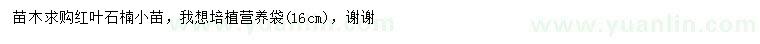 求購16公分紅葉石楠小苗