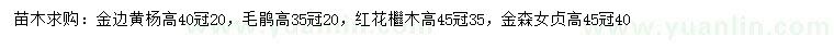 求購金邊黃楊、毛鵑、紅花繼木等