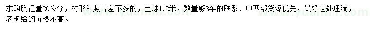 求購胸徑量20公分銀杏