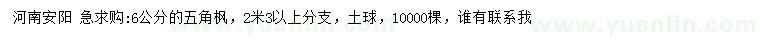 求購(gòu)6公分五角楓