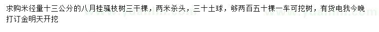 求購米徑量13公分八月桂