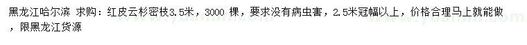 求購3.5米紅皮云杉