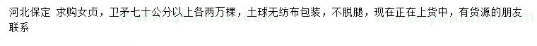求購(gòu)70公分以上女貞、衛(wèi)矛