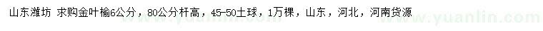 求購(gòu)6公分金葉榆