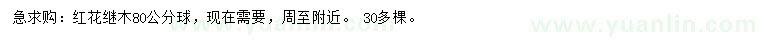 求購80公分紅花繼木球