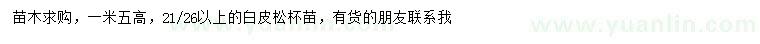 求購(gòu)21、26公分以上白皮松