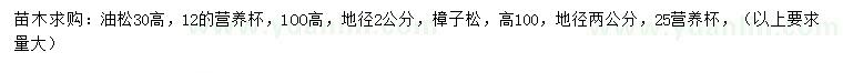 求購地徑2公分油松、樟子松