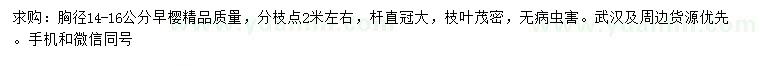 求購胸徑14-16公分早櫻