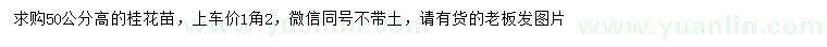 求購(gòu)高50公分桂花苗
